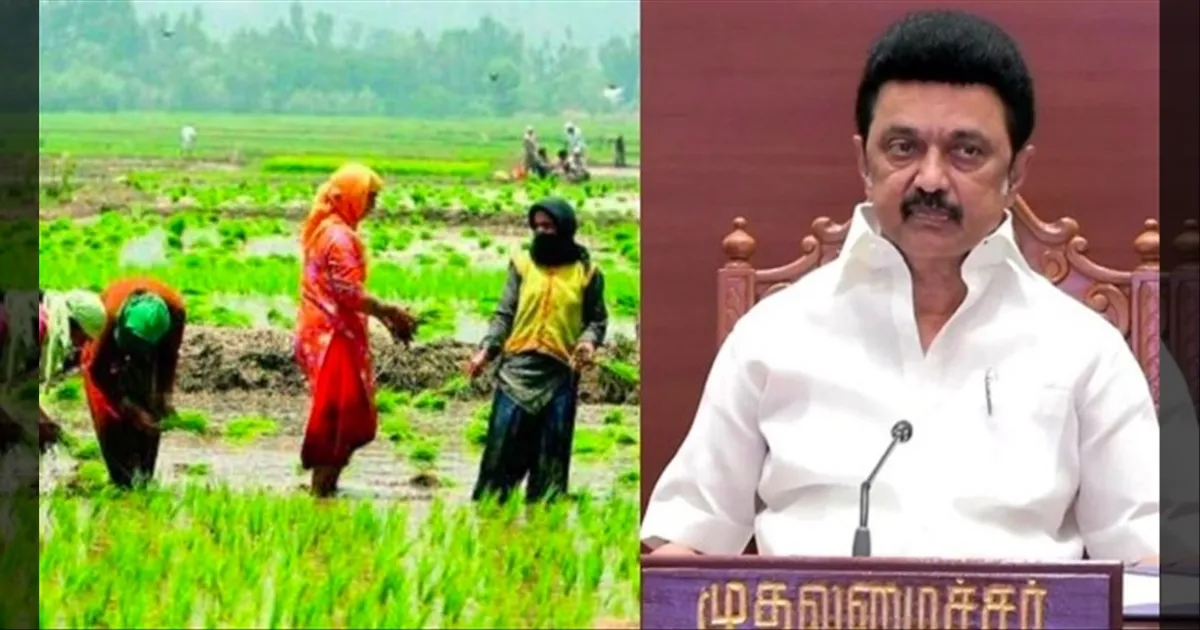 #BREAKING: மழையால் சேதமடைந்த பயிர்கள்..!!  நிவாரணம் அறிவித்தார் முதலமைச்சர் மு.க ஸ்டாலின்..!! 