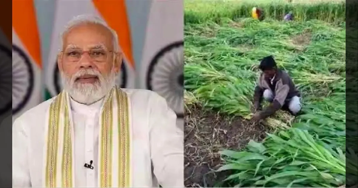விவசாயிகளுக்கான பிஎம் கிசான் திட்டம்.. 20வது தவணைத்தொகை விடுவிப்பு தேதி அறிவிப்பு..!!