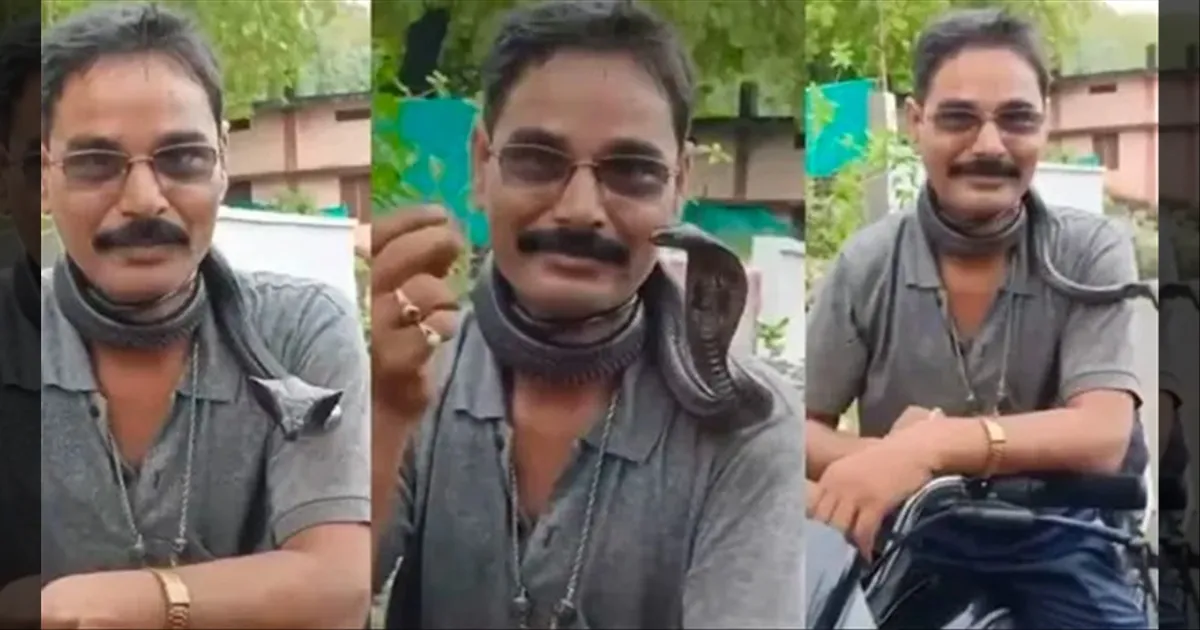 கழுத்தை சுற்றிய விஷமுள்ள நாகப்பாம்பு.. இறுதியில் பாம்புப்பிடி வீரருக்கு நேர்ந்த சோகம்..!