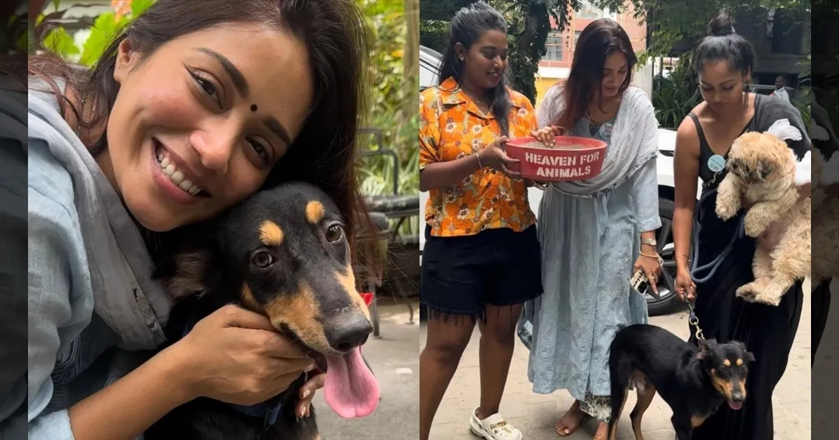 cinema-vijay-jananayagan-tvkparty-tamilcinema