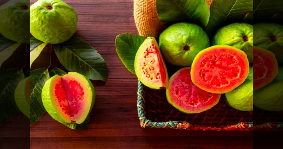 guava-fruit-and-its-benefits