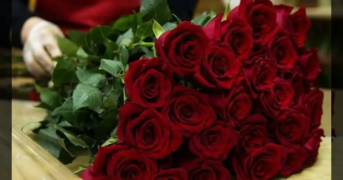 Valentines Day ஸ்பெஷல்: பெங்களூரில் 1 கோடி ரோஜாக்கள் சேல்ஸ்.. ஓசூர் விவசாயிகள் ஹேப்பி..!!