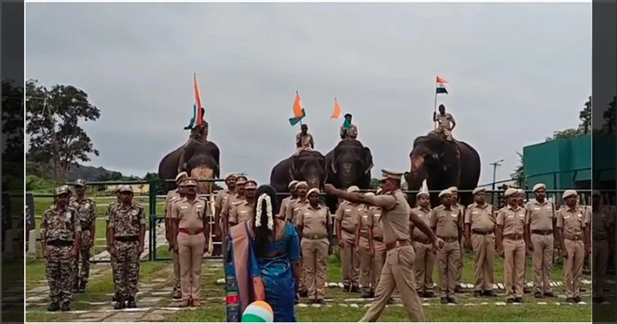 முதுமலை காப்பகத்தில் 79வது சுதந்திர தின விழா.. தேசியக் கொடிக்கு யானைகள் சல்யூட்..!!