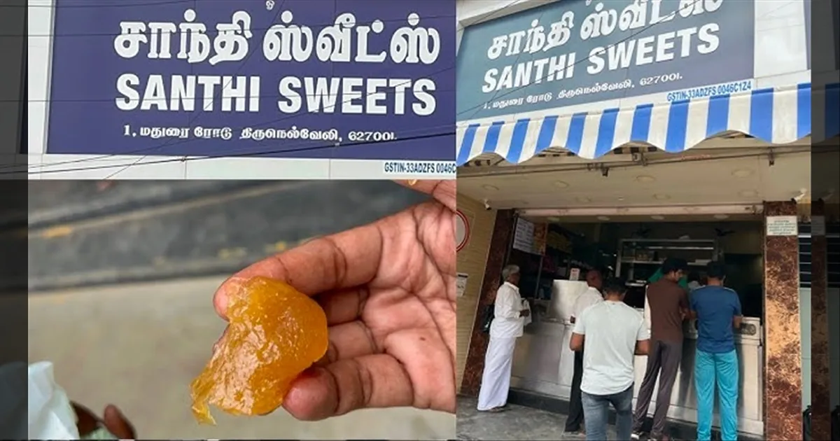 நெல்லை சாந்தி அல்வாவில் கிடந்த 'அந்த' உயிரினம்.. உணவு பாதுகாப்பு அதிகாரிகள் அதிரடி ஆய்வு..!