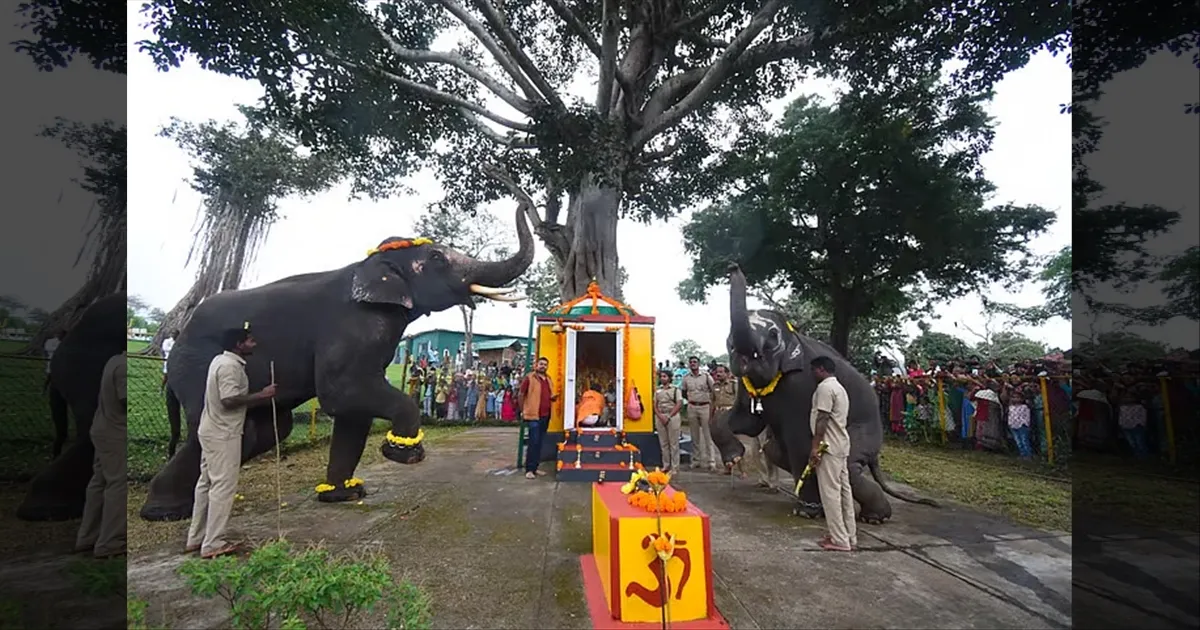 தெப்பக்காடு முகாமில் விநாயகர் சதுர்த்தி விழா கோலாகலம்.. ஆனைமுகனை வழிபட்ட யானைகள்..!!