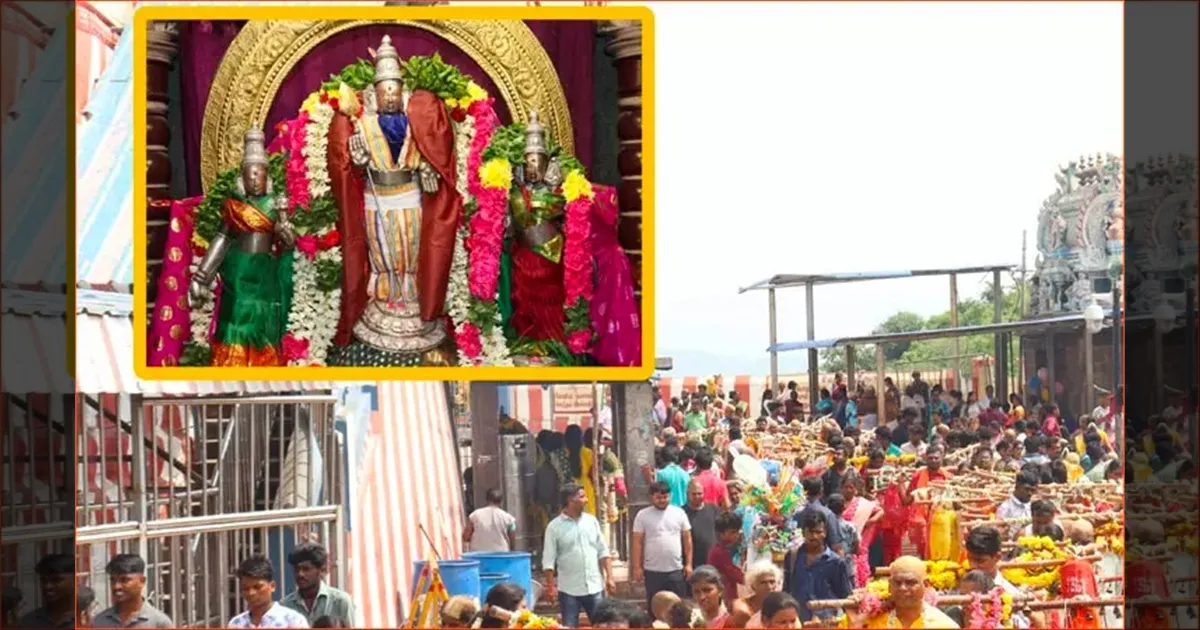 திருத்தணி முருகனுக்கு அரோகரா..!! சஷ்டி 5ம் நாள்..!! திரளான பக்தர்கள் சாமி தரிசனம்..!!