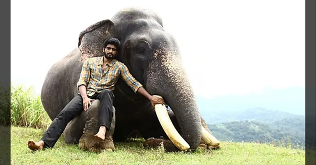 cinema-court-stays-kumki-2-release-tamilcinema