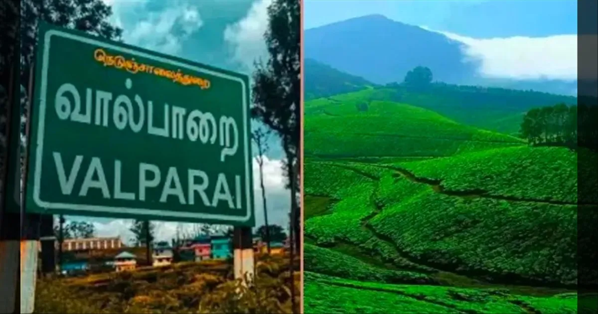 ஊட்டி, கொடைக்கானல் லிஸ்டில் இப்போ வால்பாறை.. சுற்றுலாப் பயணிகள் ஷாக்..!! 
