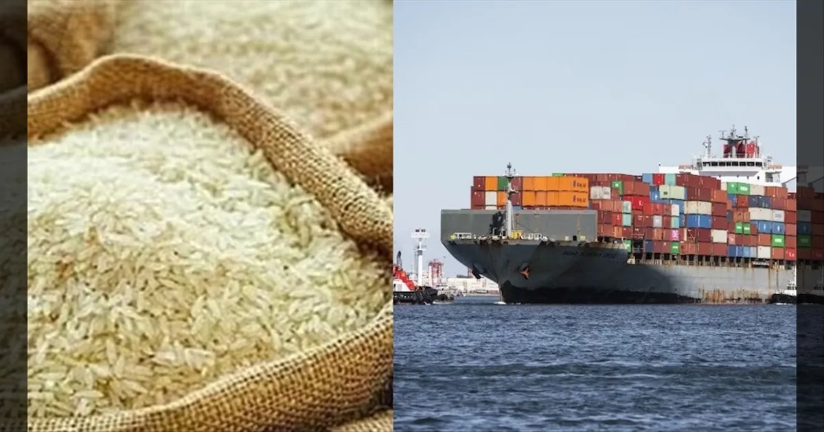 மத்திய கிழக்கு போர்: உலகப் பொருளாதாரத்தில் பெரும் அதிர்வலை..!! இந்திய பாஸ்மதி அரிசி விலை வீழ்ச்சி..!! 