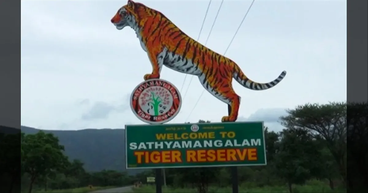 சத்தியமங்கலம்: சட்டவிரோத ரிசார்ட்களை மூட வேண்டும்.. சென்னை ஐகோர்ட் அதிரடி உத்தரவு..!!
