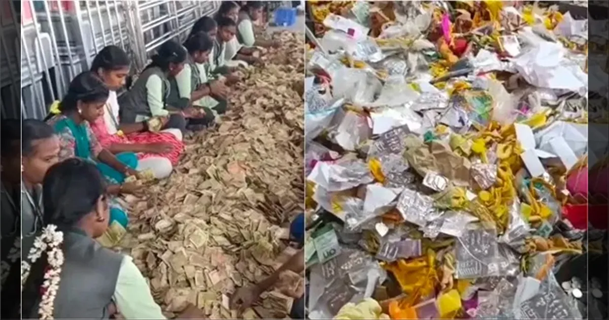 பழனி ஆண்டவனுக்கு அரோகரா..!! 3ம் படை வீட்டில் இத்தனை கோடி காணிக்கை வசூலா..!!