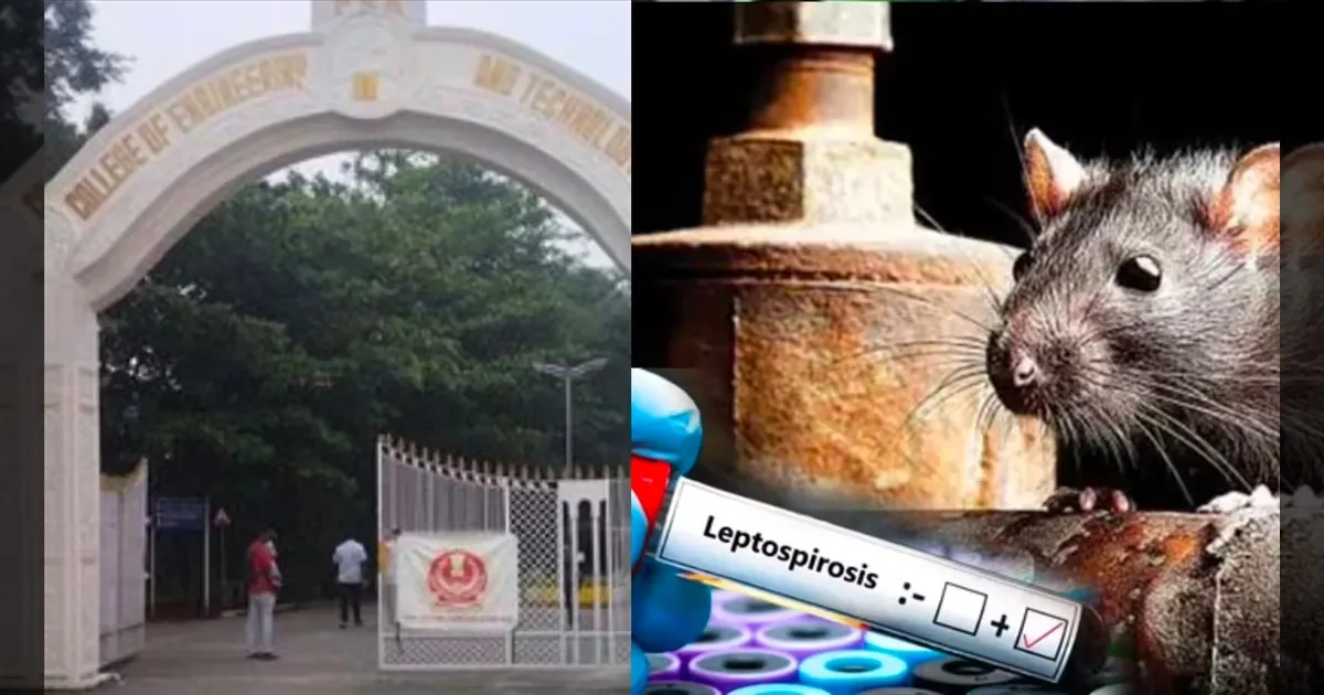 எலி காய்ச்சலால் தற்காலிகமாக மூடப்பட்ட கல்லூரி.. ஆனால் இதற்கு மட்டும் அனுமதி..!! 