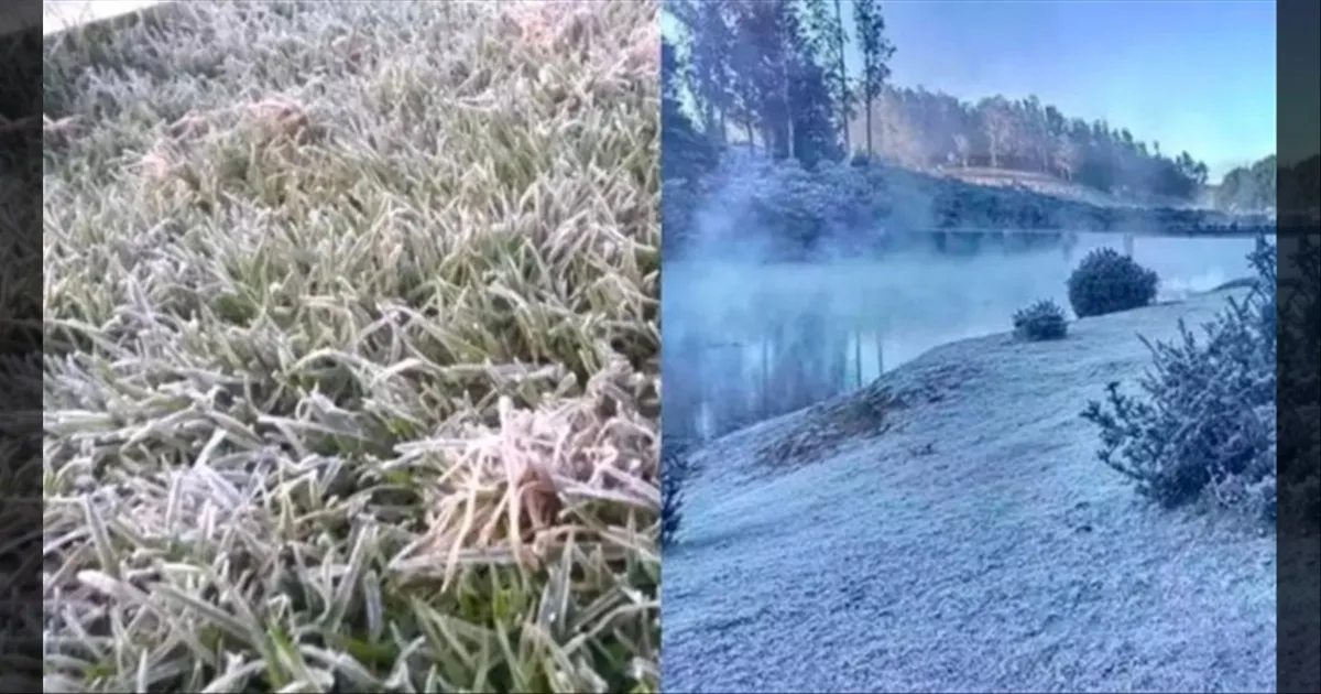 ஒரே குளிருப்பா..!! ரோட்டுல கால் வெக்க முடியல.. இன்று ஊட்டியில் உறைபனிக்கு வாய்ப்பாம்..!! ஜாக்கிரதை மக்களே..!!