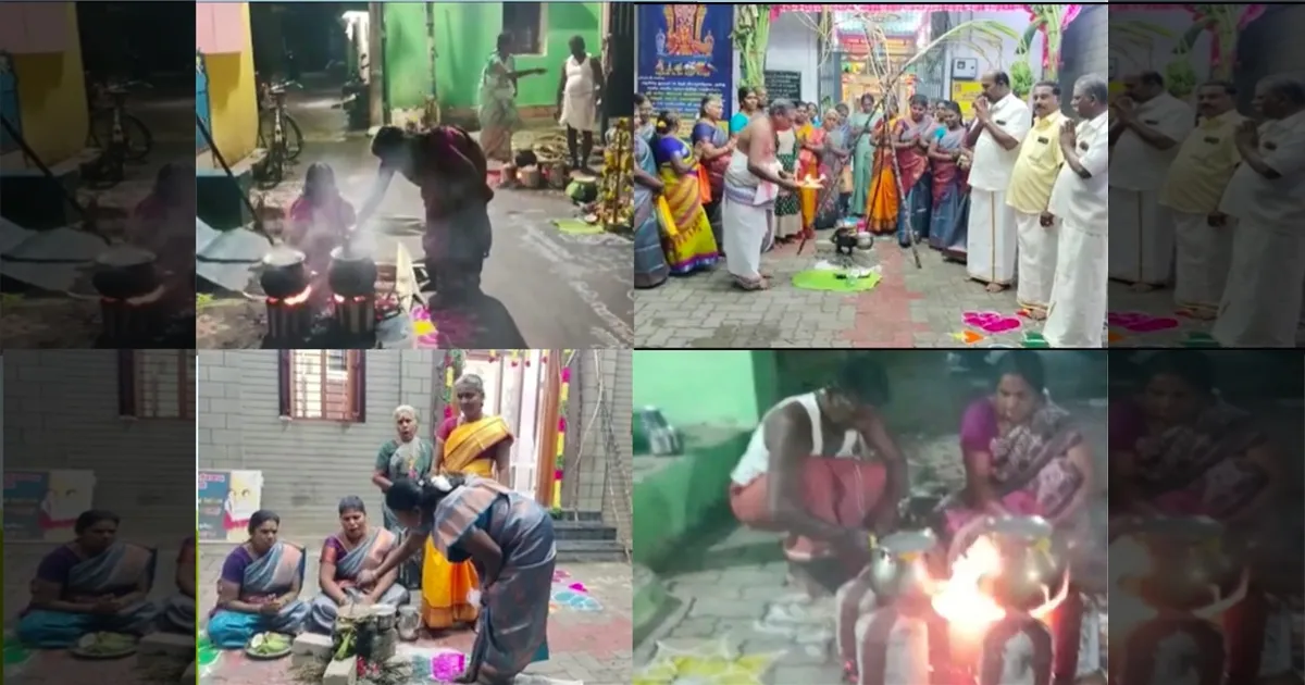தமிழகம் முழுவதும் களைகட்டும் பொங்கல் கொண்டாட்டம்..!! கரும்பு, மஞ்சள்குலை, வாழைத் தோரணங்களுடன் ஜொலிக்கும் வீடுகள்..!!
