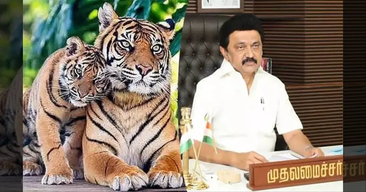 காடுகளின் ஆன்மாவை பாதுகாக்கிறோம்... தமிழகம் கர்ஜிக்கிறது..! முதல்வர் பெருமிதம்..!