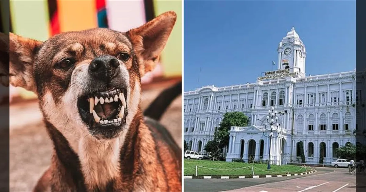 வீட்டுல நாய் வளர்க்குறீர்களா? அப்போ உங்களுக்கு தான் இந்த அலர்ட்! சென்னை கார்ப்பரேஷன் கறார்