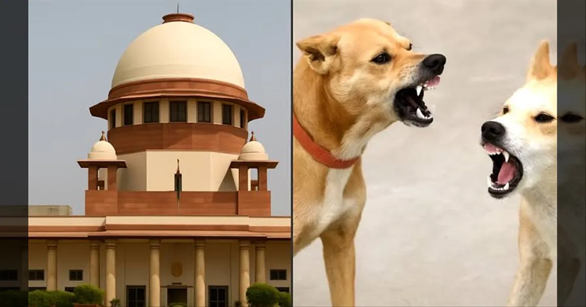 பார்த்து நடந்துக்கோங்க! நாய் பிடிப்பவர்களை தடுத்தால் ரூ.2 லட்சம் அபராதம்.. சுப்ரீம் கோர்ட் எச்சரிக்கை..!
