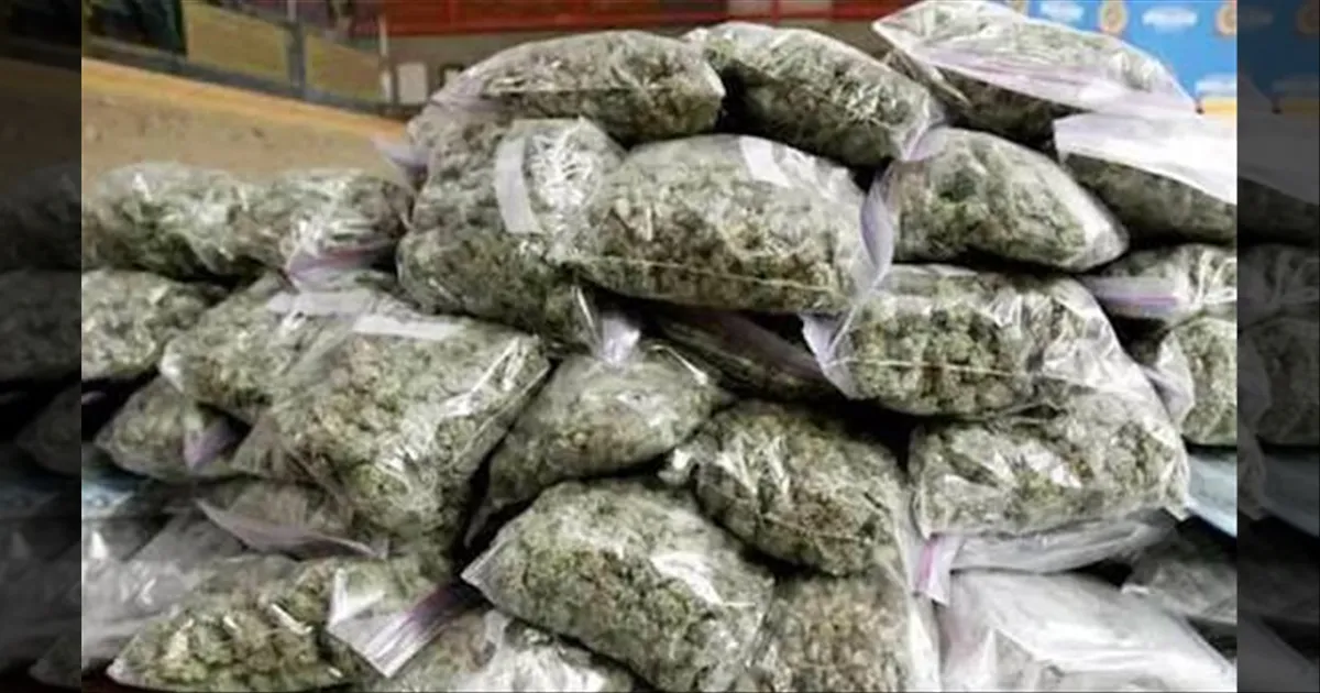 ரயிலில் கஞ்சா... கையும் களவுமாக சிக்கிய இளைஞர்கள்... லாடம் கட்டிய போலீஸ்...!