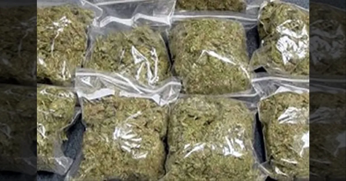 புத்தாண்டு கொண்டாட்டம்... போதைப் பொருள் கும்பலை தட்டி தூக்கிய போலீஸ்...!