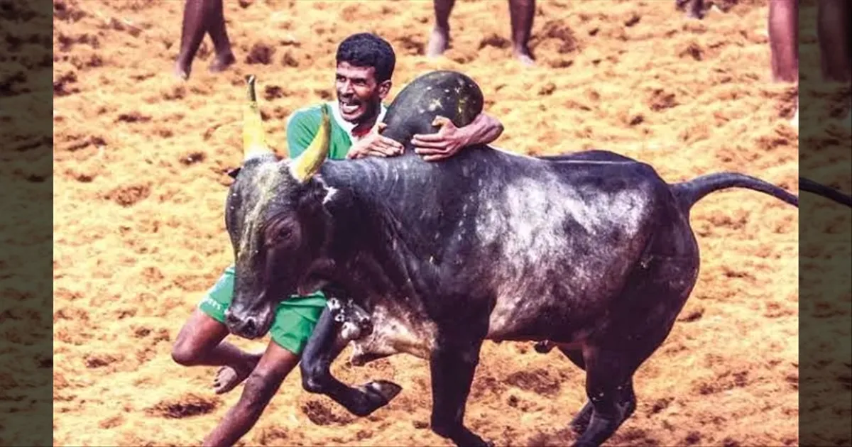 தச்சங்குறிச்சியில் ஜன.3 ஆம் தேதி ஜல்லிக்கட்டு... தமிழக அரசு அரசாணை வெளியீடு...!