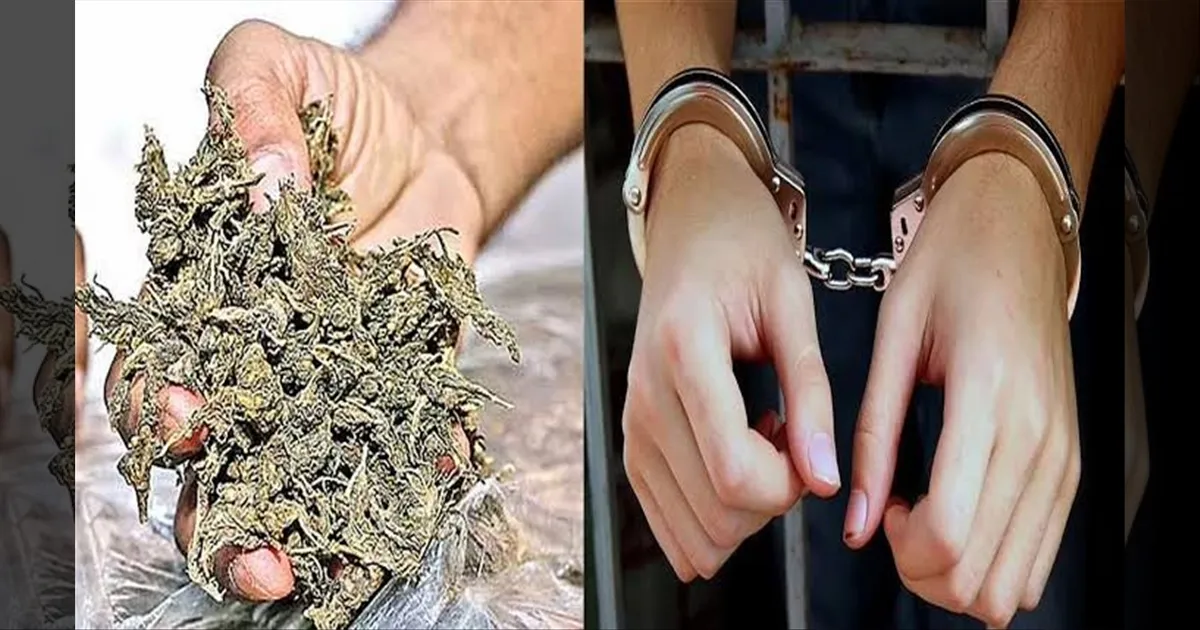 பள்ளிக்கு கஞ்சா எடுத்து சென்ற மாணவன்... போலீசில் ஒப்படைத்த ஹெட்மாஸ்டர்..!