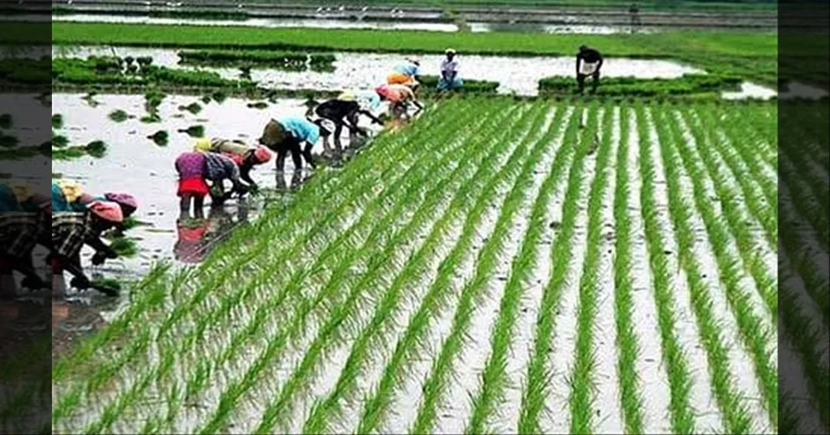 வேளாண் நிழல் பட்ஜெட்...! விவசாயிகளுக்காக களமிறங்கிய அன்புமணி... எகிறும் எதிர்ப்பார்ப்பு..!!