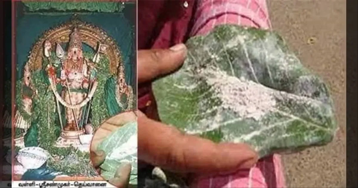 டபுள் டமாக்கா..! 