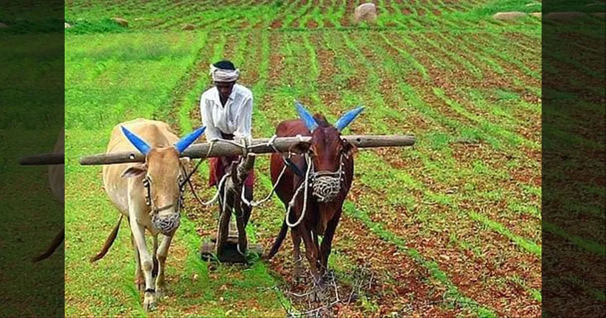 செப்.1 ல் மேட்டூர் அணை திறப்பு..! பாசனப் பணிகளுக்கு கிரீன் சிக்னல்...விவசாயிகளுக்கு குட் நியூஸ்..!