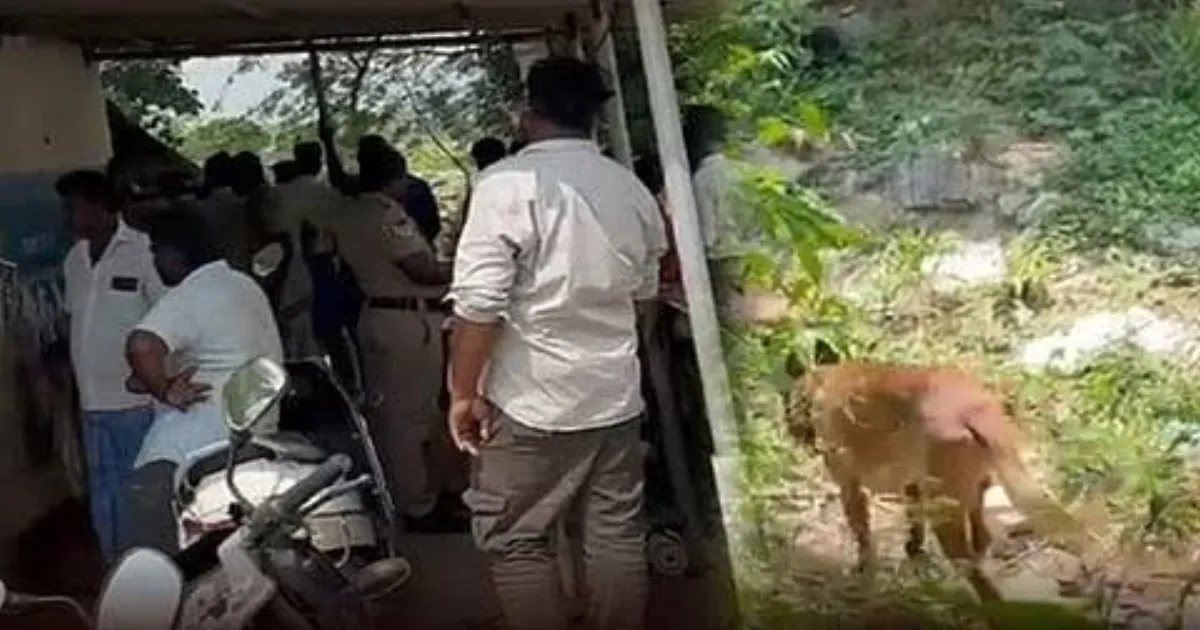 செஞ்சி சிறுமி சம்பவத்தில் திடுக் திருப்பம்... நேராக கரும்பு தோட்டத்திற்குள் சென்ற மோப்ப நாய்... நடந்தது என்ன?
