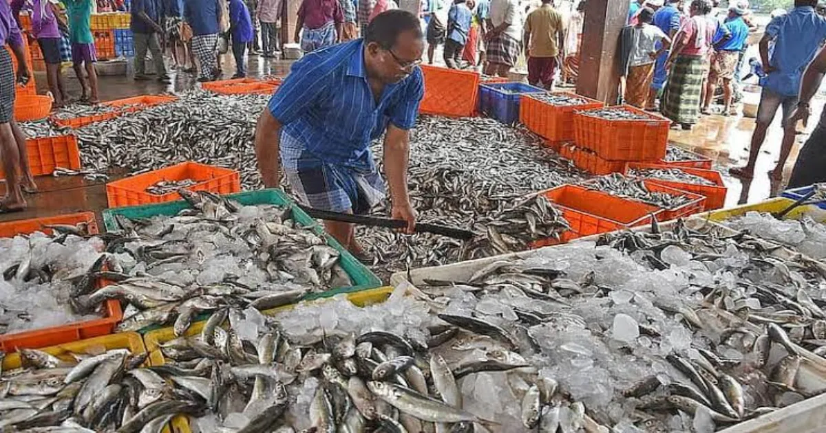 “வலையில் விழுந்தது... விலையில் விழவில்லையே...” - தசரா திருவிழாவால் மீனவர்களுக்கு ஏற்பட்ட பரிதாபம்...!