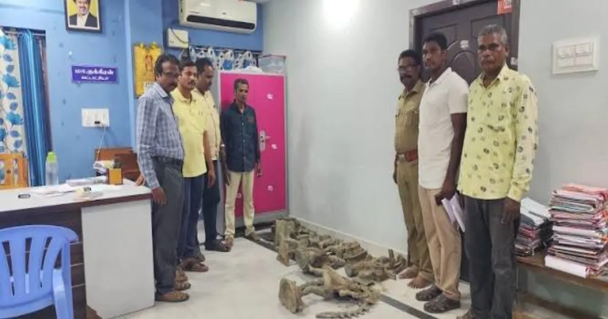 புதரை தோண்ட தோண்ட கிடைத்த பொக்கிஷங்கள்... ஆச்சர்யத்தில் உறைந்து போன மன்னார்குடி...! 