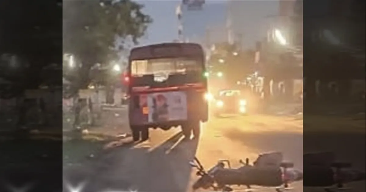 Street dog- accident 