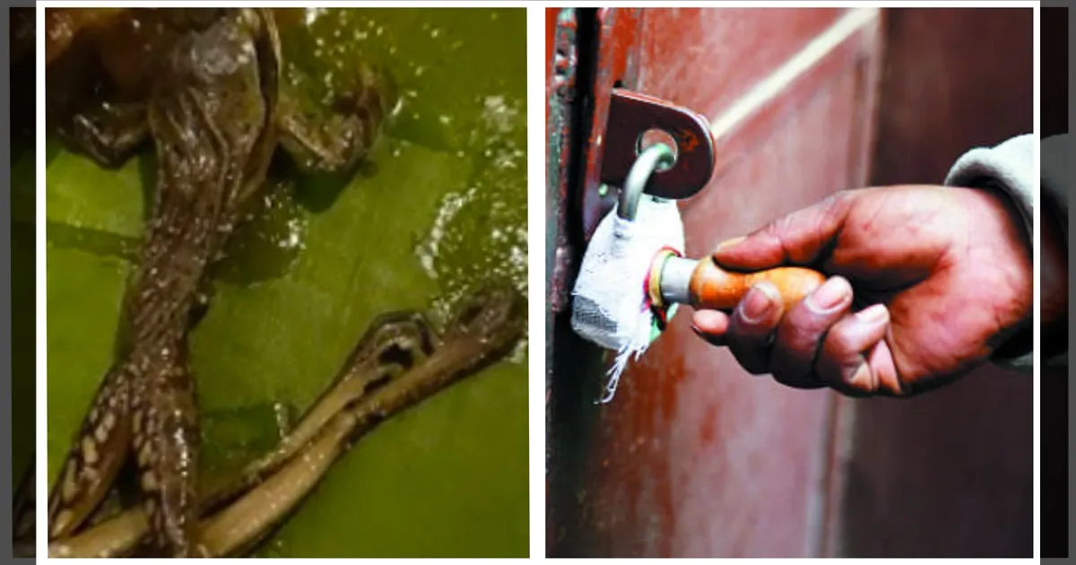 மட்டன் குழம்பில் தேரை..! அசால்ட்டாக பதில்.. பிரபல ஹோட்டலுக்கு சீல் வைத்து அதிரடி!