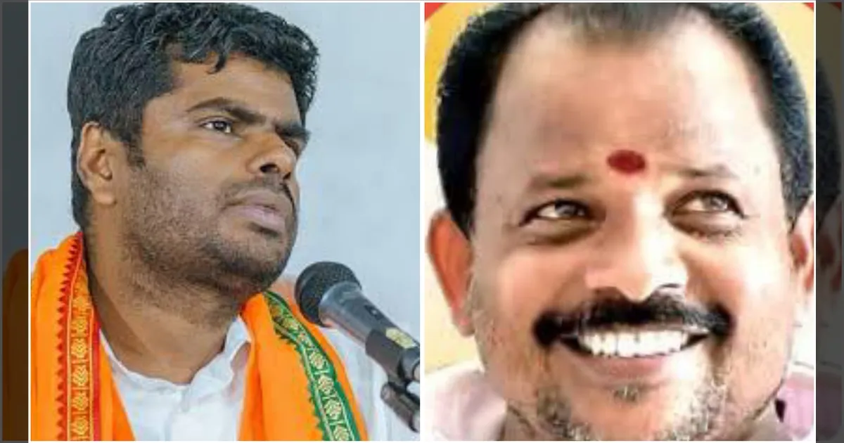 ரவுடிகள் அட்டகாசம்… திரும்பி பாருங்க உங்க கட்சிக்காரர் தான்! முதல்வரை சாடிய அண்ணாமலை