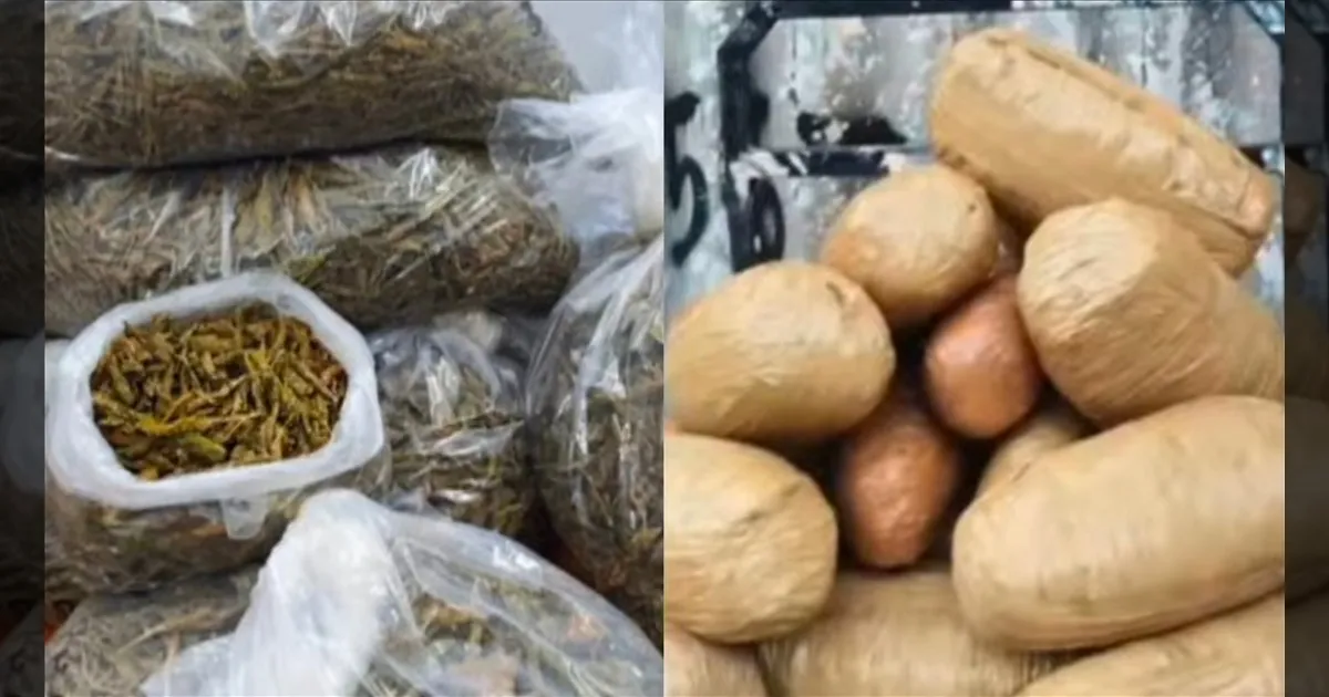 மாணவர்களை சீரழித்த கஞ்சா கும்பல் கைது..! காயிலாங்கடையில் பதுக்கிய 18 கிலோ கஞ்சா பறிமுதல்..!