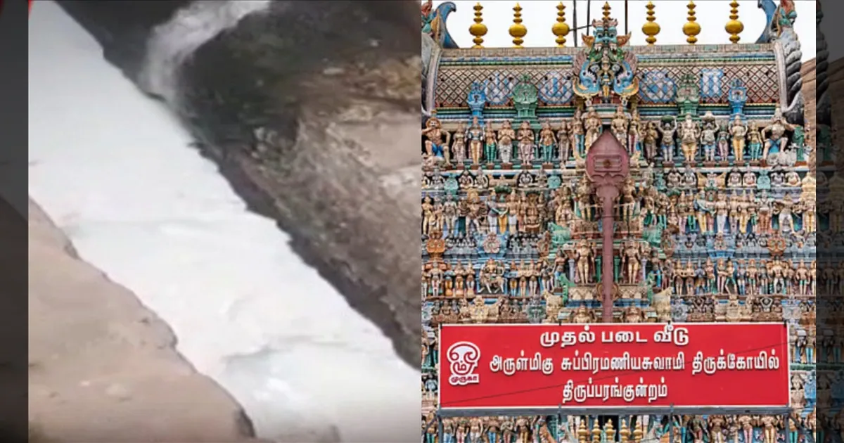சாக்கடையில் அபிஷேக பால்..! திருப்பரங்குன்றம் கோவிலில் நேர்ந்த அவலம்... பக்தர்கள் வேதனை..!