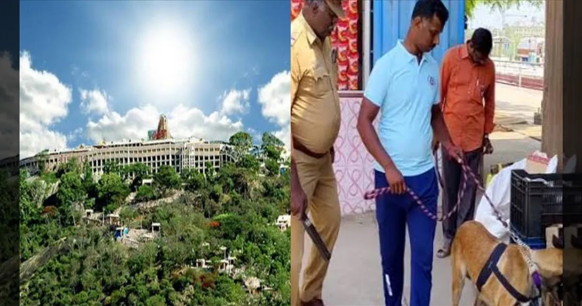 டிக்... டிக்... டிக்.! பழனி முருகன் கோவிலுக்கு வெடிகுண்டு மிரட்டல்..! தீவிர சோதனை..!!