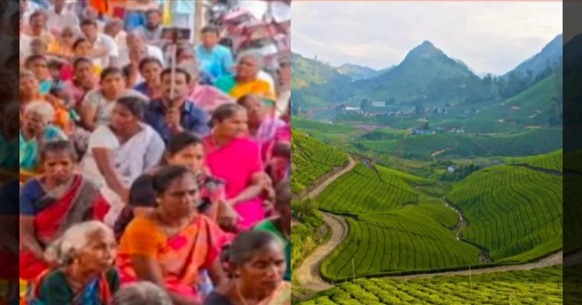 தீவிரமடையும் போராட்டம்... உரிமைக்காக காத்திருக்கும் மக்கள்.! மேகமலை வழக்கின் தீர்ப்பு ஒத்திவைப்பு.!
