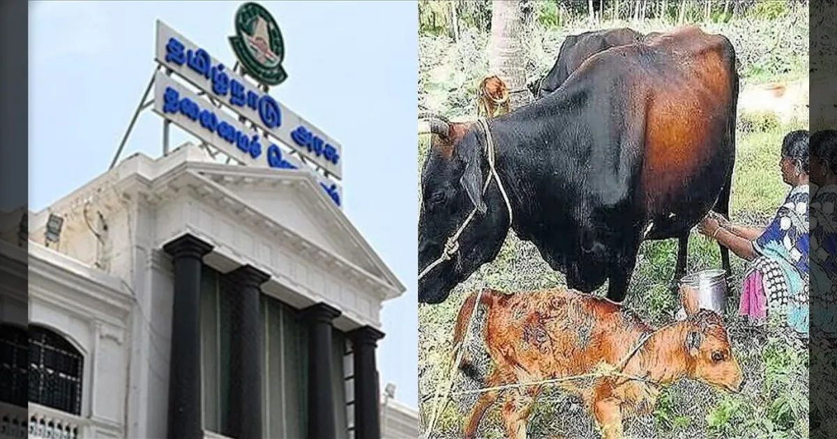 பெண்களுக்கு ஜாக்பாட்..! விலையில்லா கறவை மாடுகள்..!! நிதி ஒதுக்கி ஆணை..!!
