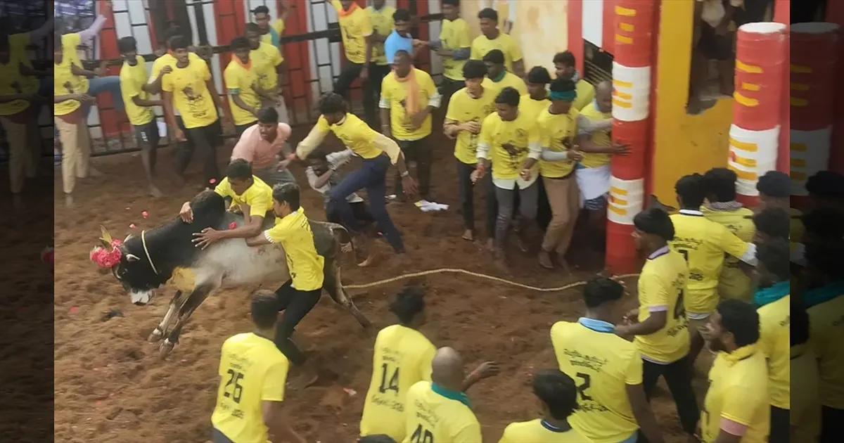 BREAKING!! சொன்னபடி துவங்கியது அலங்காநல்லூர் ஜல்லிக்கட்டு!! சீறிப்பாய்ந்தது காளைகள்! காளையர்கள் பாய்ச்சல்!!