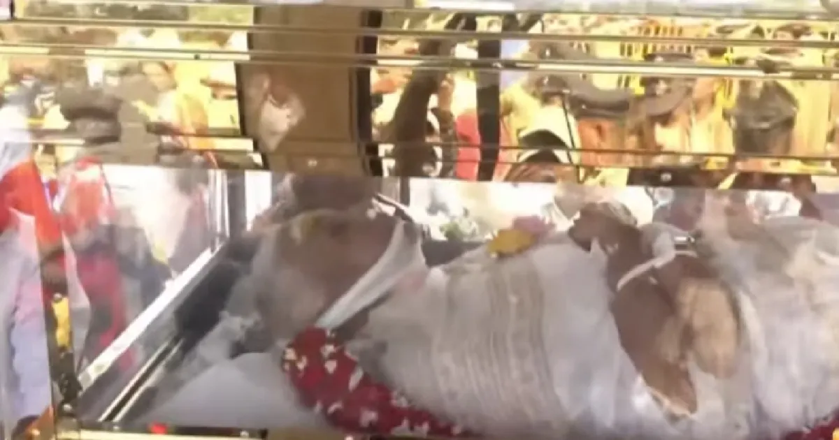 மெளனமானது காந்த குரல்! பாடகி ஜானகி அம்மாவின் உடலுக்கு வழியெங்கும் பொதுமக்கள் கண்ணீர் அஞ்சலி!