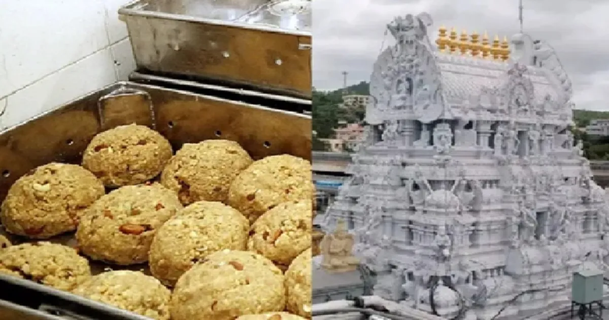 திருப்பதி கலப்பட நெய் விவகாரம்... FSSAI-ன் உத்தரவை ரத்து செய்தது உயர்நீதிமன்றம்!!