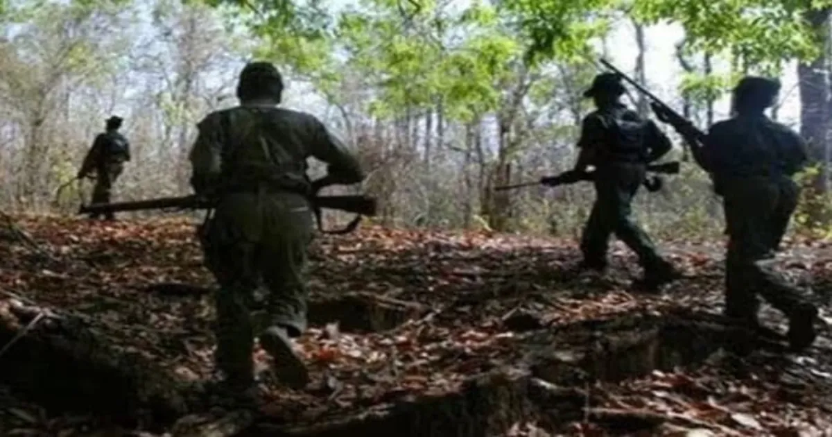 Seven Maoists killed in Andhra Pradesh