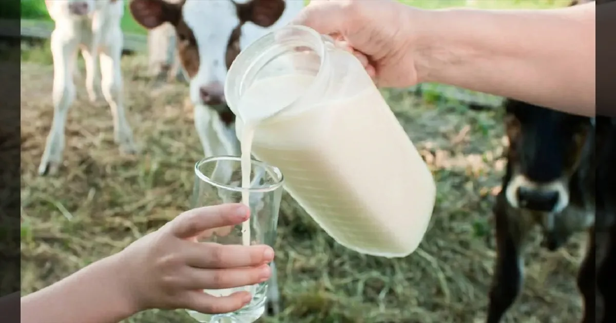 ஆந்திராவில் பெரும் சோகம்... கலப்பட பால் குடித்து உயிரிழந்தோர் எண்ணிக்கை 13-ஆக உயர்வு!