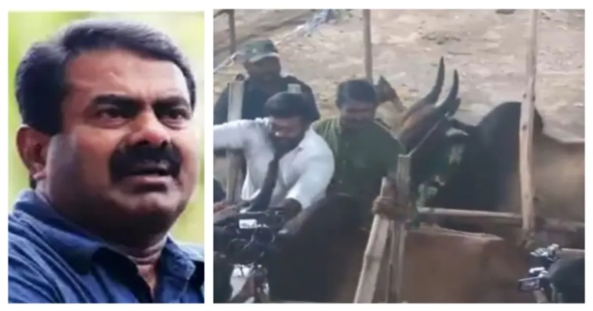 NTK goat and cow conference seeman video going viral
