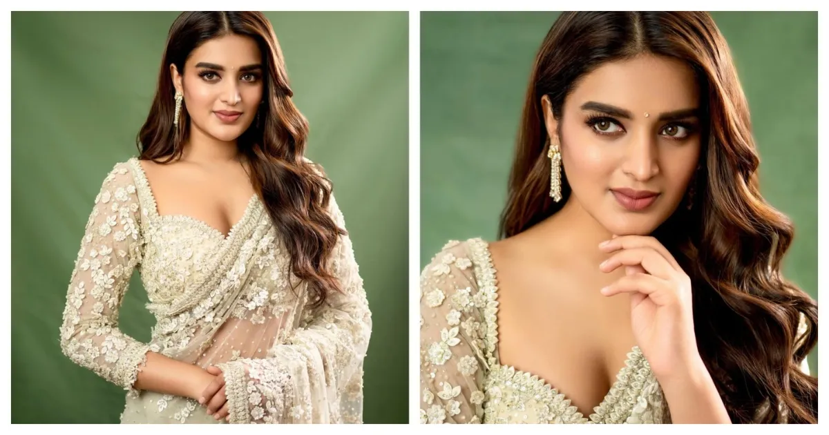 Actress Nidhhi Agerwal Transparent saree latest photos 