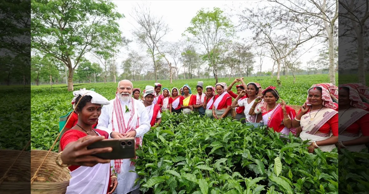 அசாமின் ஆன்மா!! தேயிலை பறித்த பிரதமர் மோடி!!  மறக்க முடியாத அனுபவம் என நெகிழ்ச்சி!