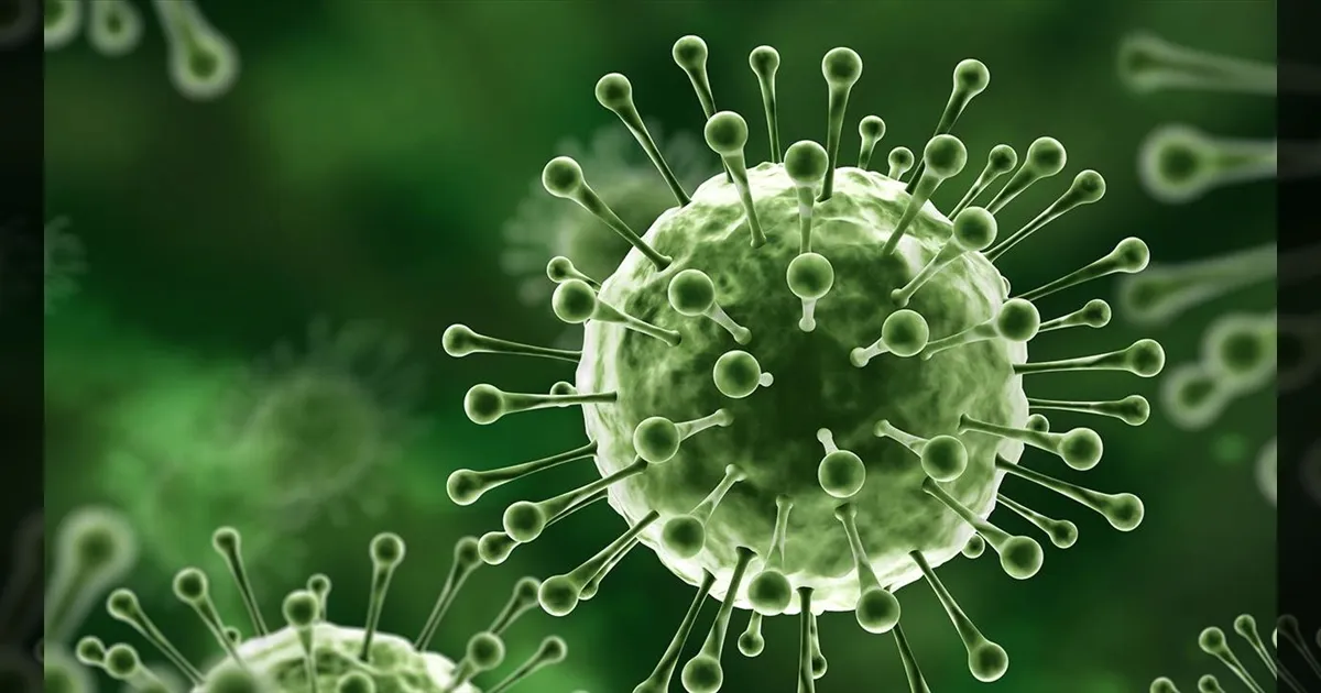 19 வருஷத்துக்கு அப்புறம் வந்த நிபா வைரஸ்; 2 பேர் கவலைக்கிடம்.. மேற்கு வங்கத்தில் பரபரப்பு! 