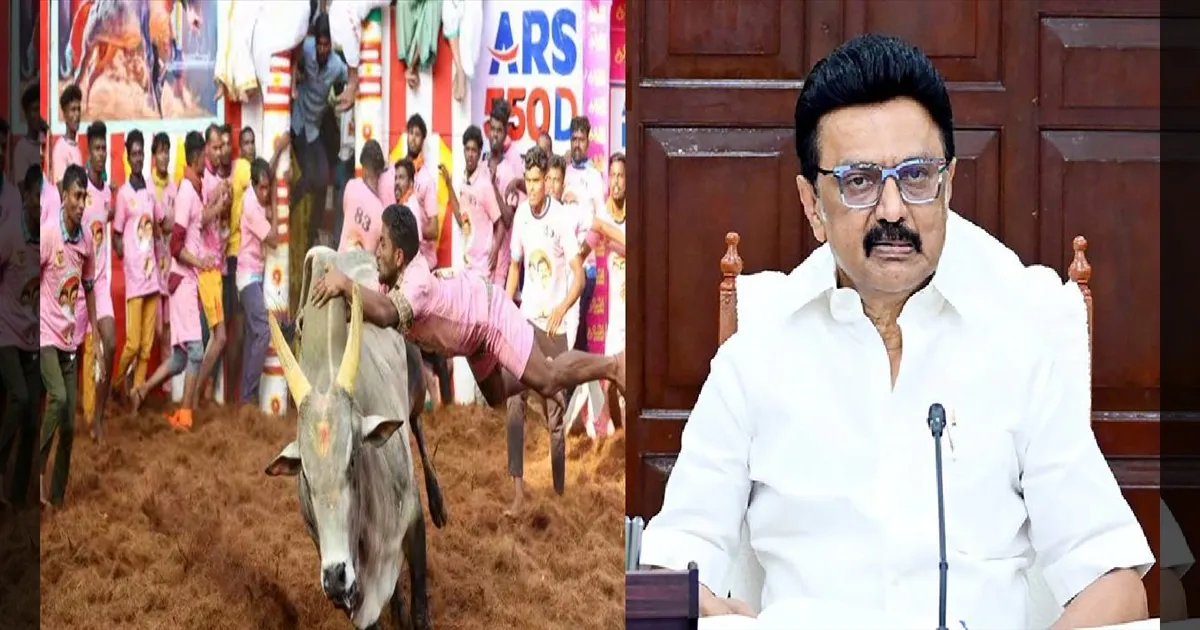 அலங்காநல்லூரில் சீறப்போகும் காளைகள்! தொடங்கி வைக்கிறார் முதலமைச்சர் மு.க.ஸ்டாலின்! முன்னேற்பாடுகள் தீவிரம்! 