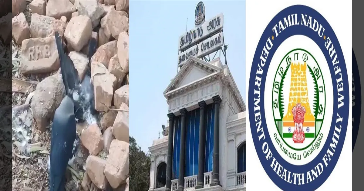 “சென்னையில் பறவை காய்ச்சல்!” பொதுமக்களுக்கு தமிழக அரசு எச்சரிக்கை!